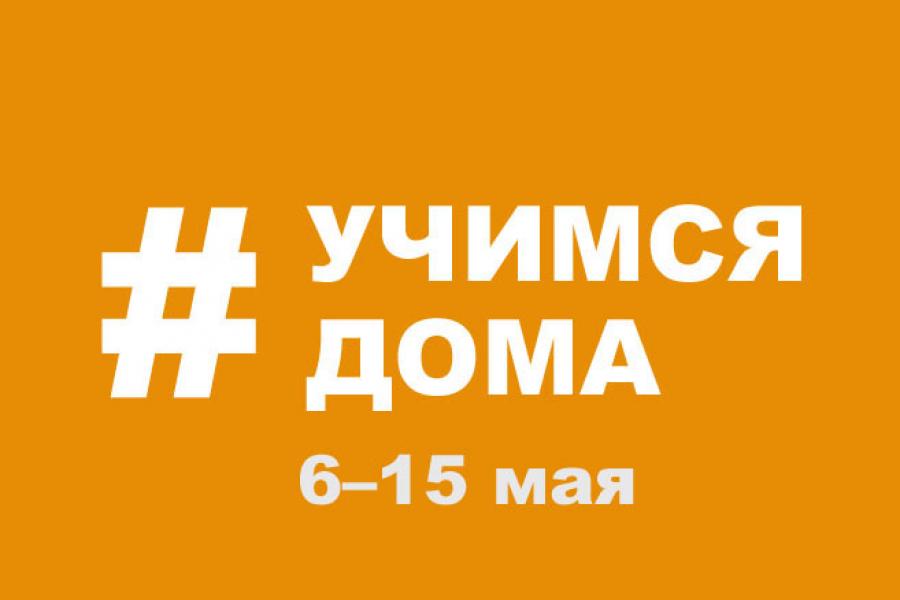 План мероприятий проекта #Учимся дома