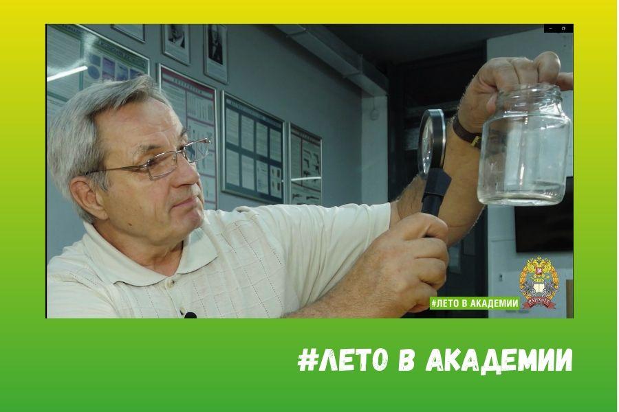 День второй