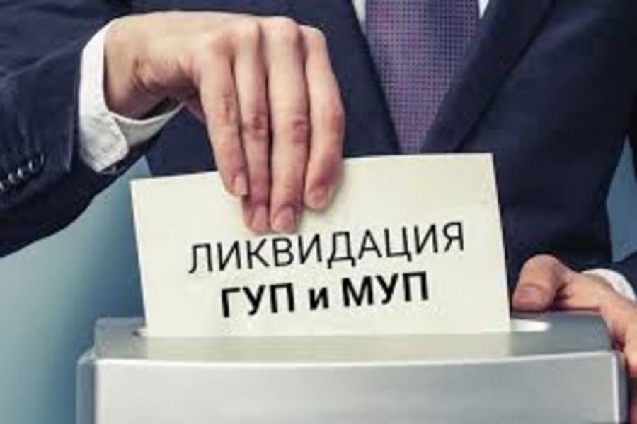 Ликвидация ГУПов и МУПов! Что дальше?