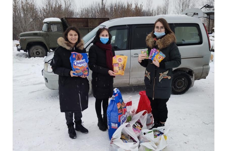 Барнаульские студенты передали 100 килограммов корма в приют для животных