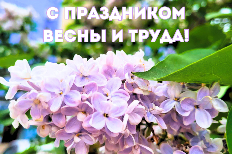 Поздравляем с Днём весны и труда!